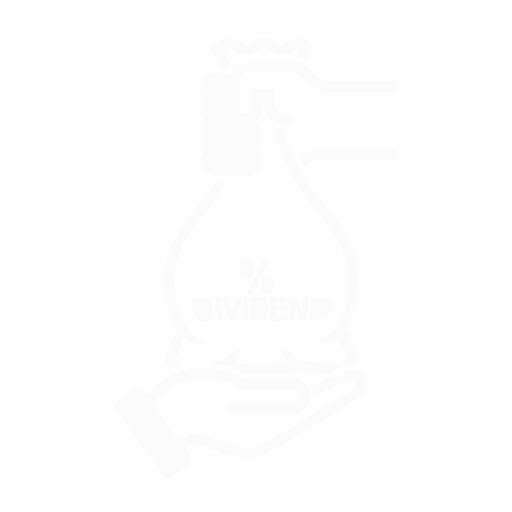 No Dividend Distribution